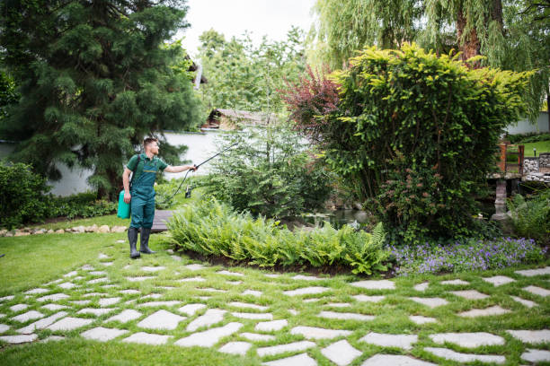 Professional Pest Control in Fort Mohave, AZ