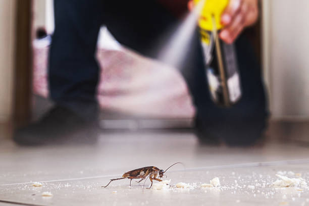 Best Cockroach Control Services  in Fort Mohave, AZ