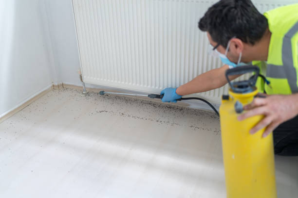 Best Affordable Pest Control Services  in Fort Mohave, AZ