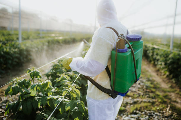 Best Flea Control Services  in Fort Mohave, AZ